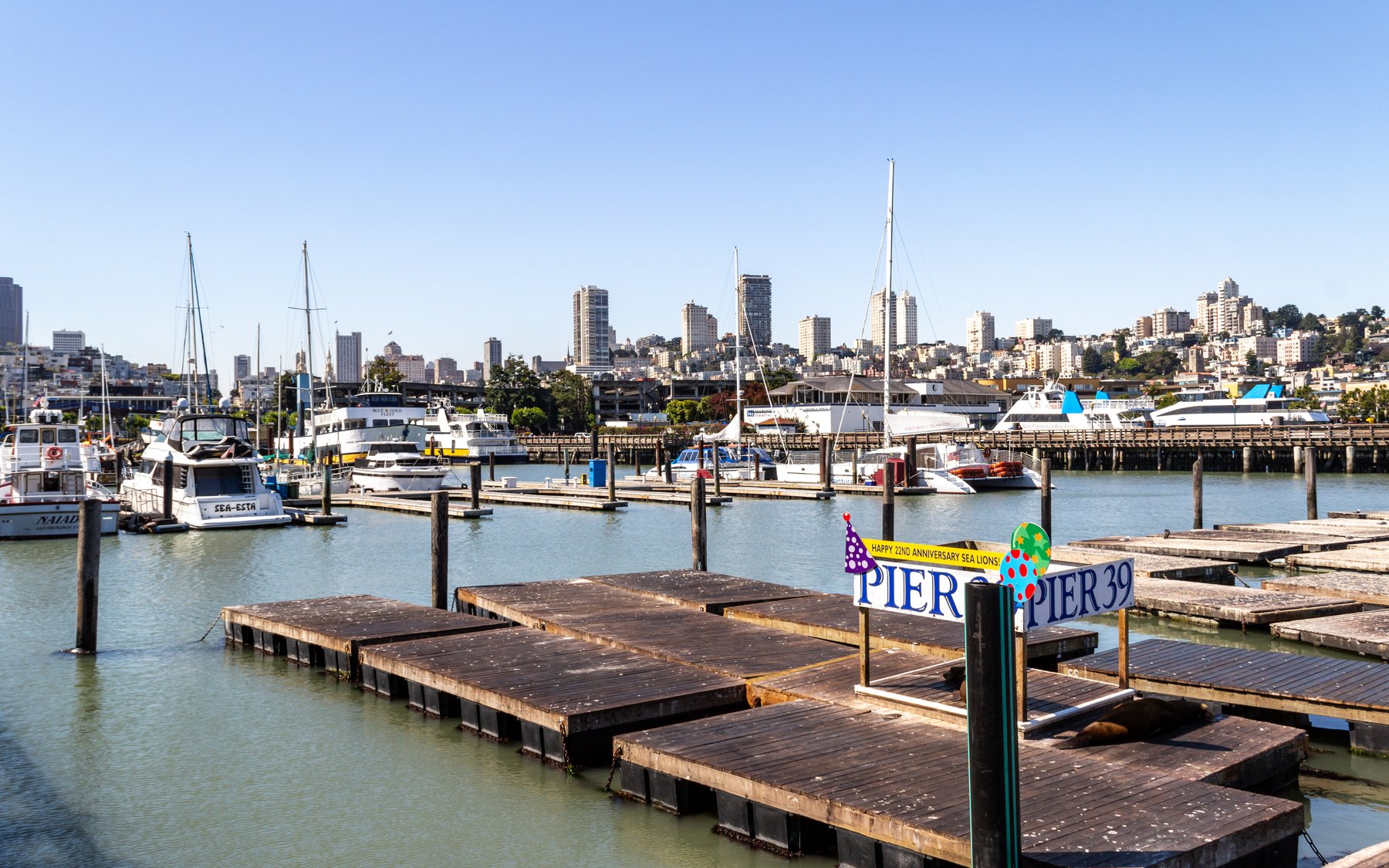 Fisherman's Wharf: O Cais Que Virou Espetáculo