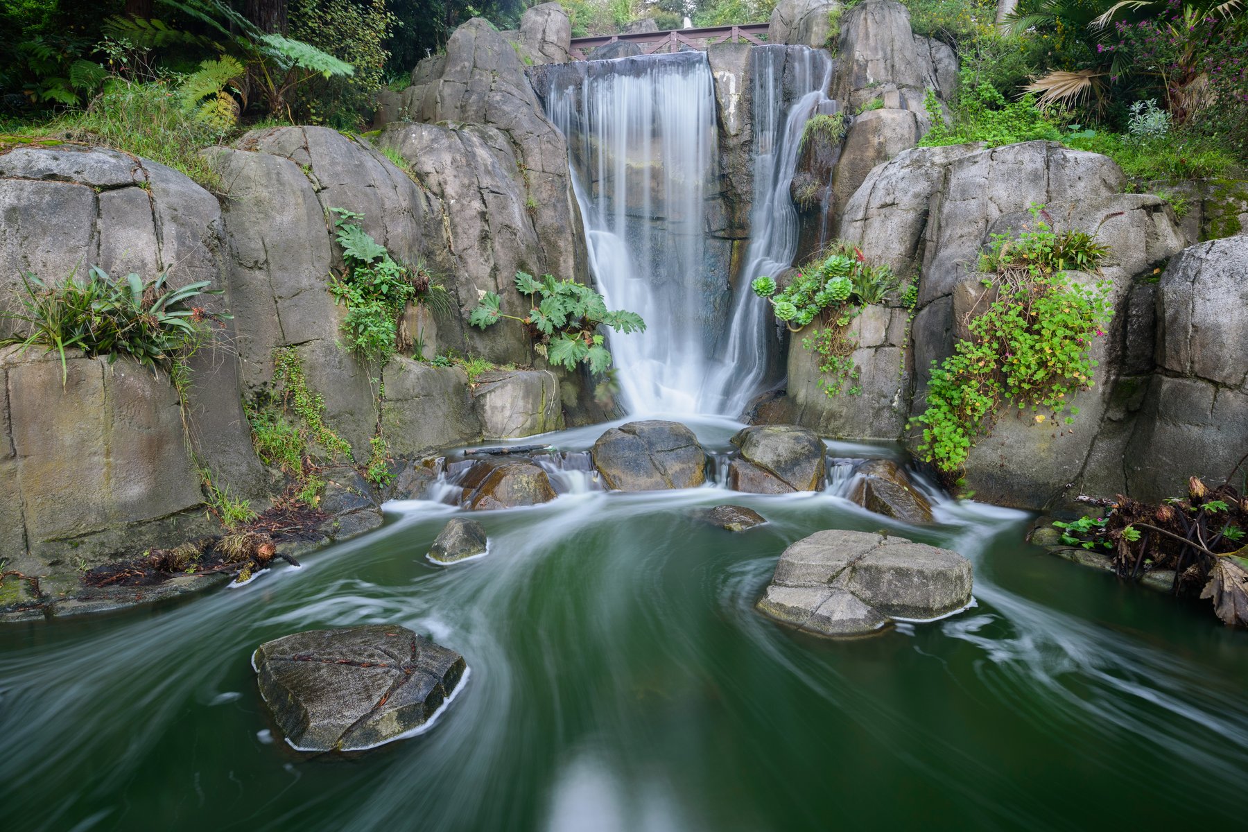Golden Gate Park: A Floresta Construída à Mão
